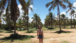 Coqueiros Alagoas - Colecionando Destinos
