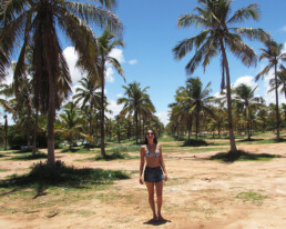 Coqueiros Alagoas - Colecionando Destinos