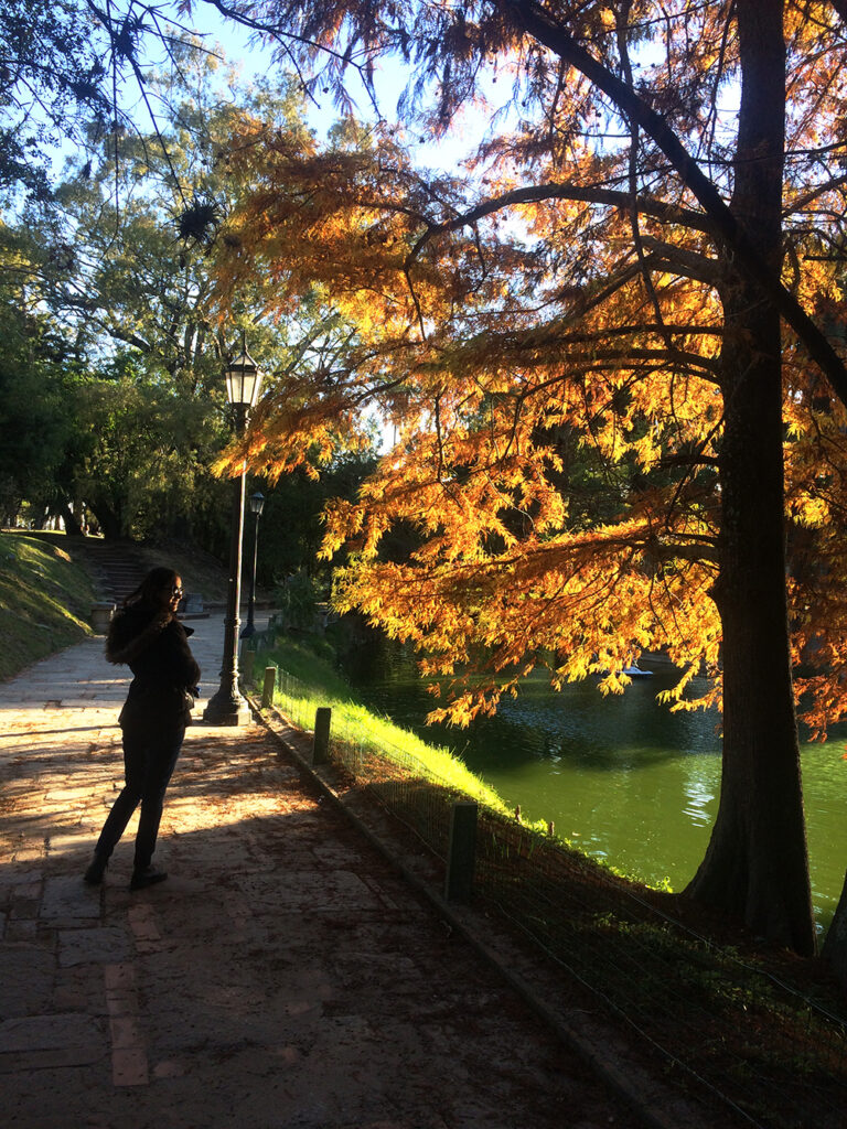 Parque Rodó no Outono - puro charme nessas cores