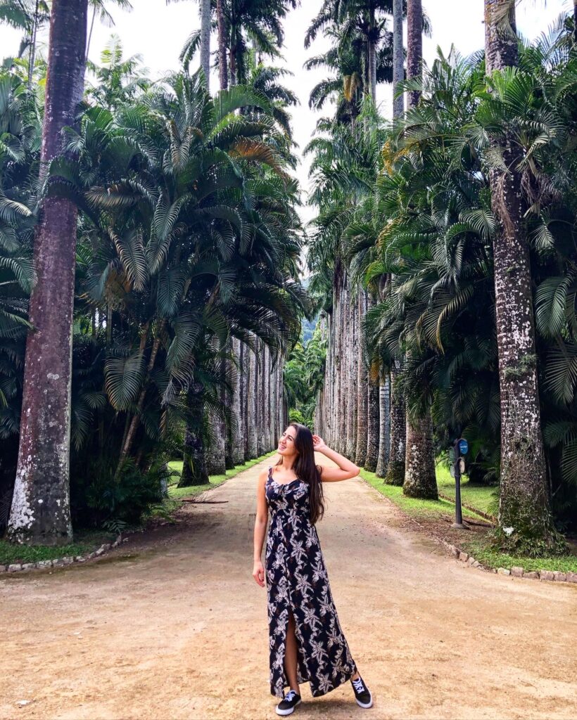 Foto clássica nas famosas palmeiras do Jardim Botânico