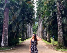 Foto clássica nas famosas palmeiras do Jardim Botânico