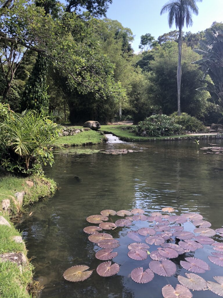 Lago Frei Leandro no Jardim Botânico