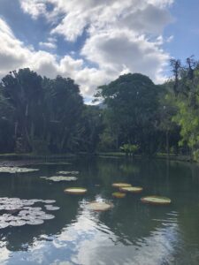 Lago Frei Leandro