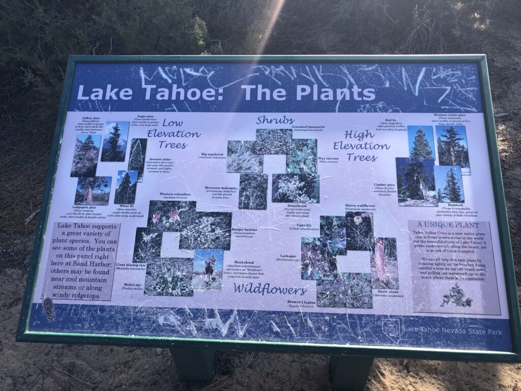 Lake Tahoe: The Plants