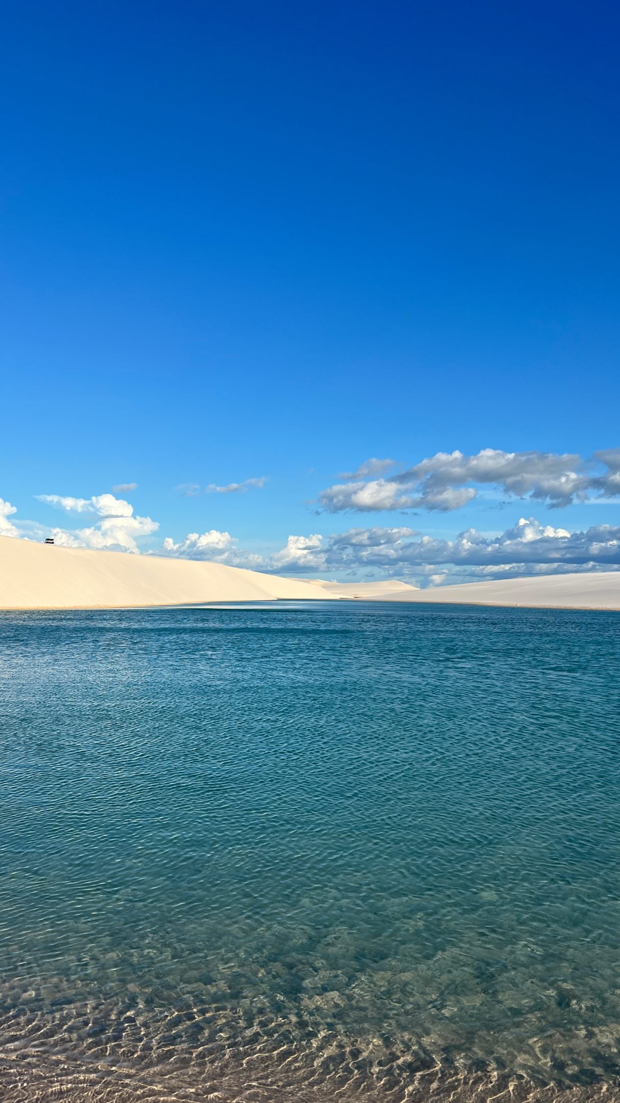 💦 Você sabia que a água dos Lençóis Maranhenses é doce?

Muita gente imagina que as lagoas tenham ligação com o mar, mas a água é completamente doce e cristalina. Ela se forma durante o período de chuvas, quando a água fica acumulada entre as dunas e dá origem às lagoas que deixam a paisagem tão famosa. ☀️

🌊 A temperatura da água é super agradável e perfeita para se refrescar.
📏 Cada lagoa é diferente: algumas são rasinhas, outras bem fundas.
📅 O volume de água muda ao longo do ano, por isso a época da viagem faz toda a diferença.
🐟 E pode ficar tranquilo: você não vai encontrar jacarés ou tubarões nas lagoas. No máximo, alguns peixinhos. 😅 Pra quem tem medo é perfeito.

Eu achei uma das águas mais gostosas para banho que já conheci! 🤍

💬 Me conta nos comentários: você já visitou os Lençóis Maranhenses ou ainda sonha em conhecer esse lugar?

📍 Lençóis Maranhenses | Maranhão

#ColecionandoDestinos #LençóisMaranhenses #Maranhão #ViajePeloBrasil #curiosidadesdeviagem